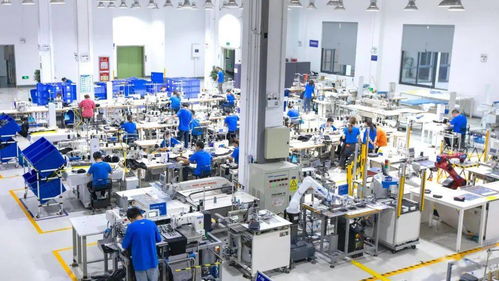 服裝行業里的“中央廚房” 柔性供應鏈如何重塑社會經濟咨詢服務